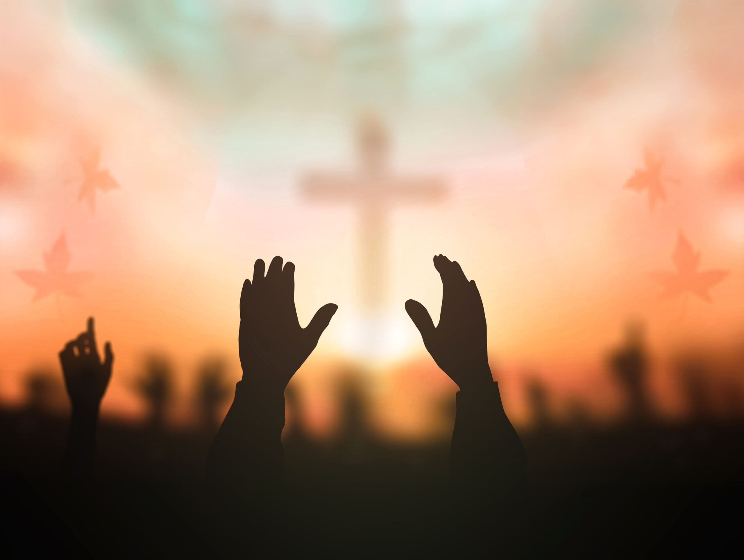 Featured image for “Gintong Buklod (Seniors’ Ministry)”