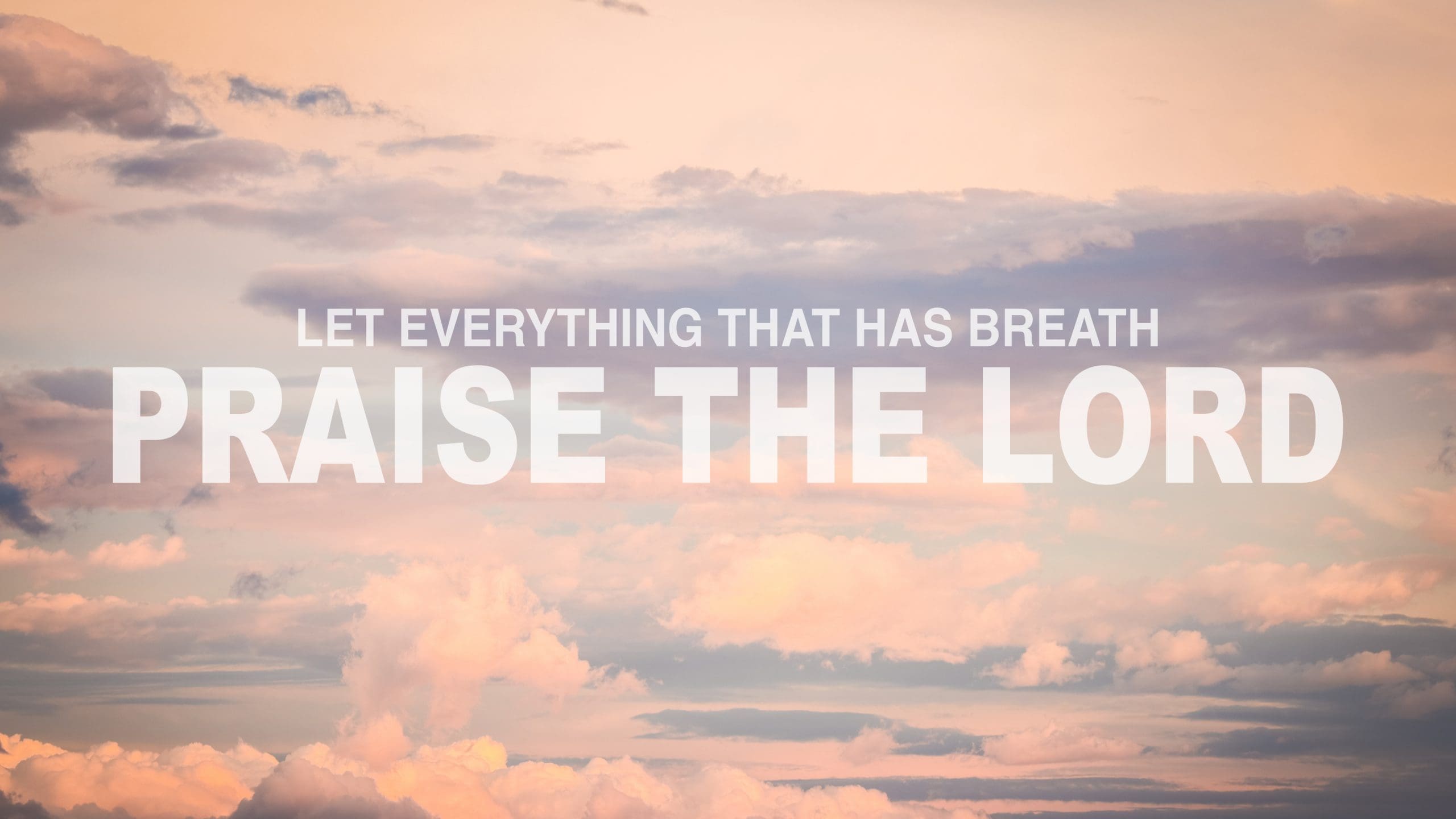 Featured image for “November 25, 2023 Announcements”