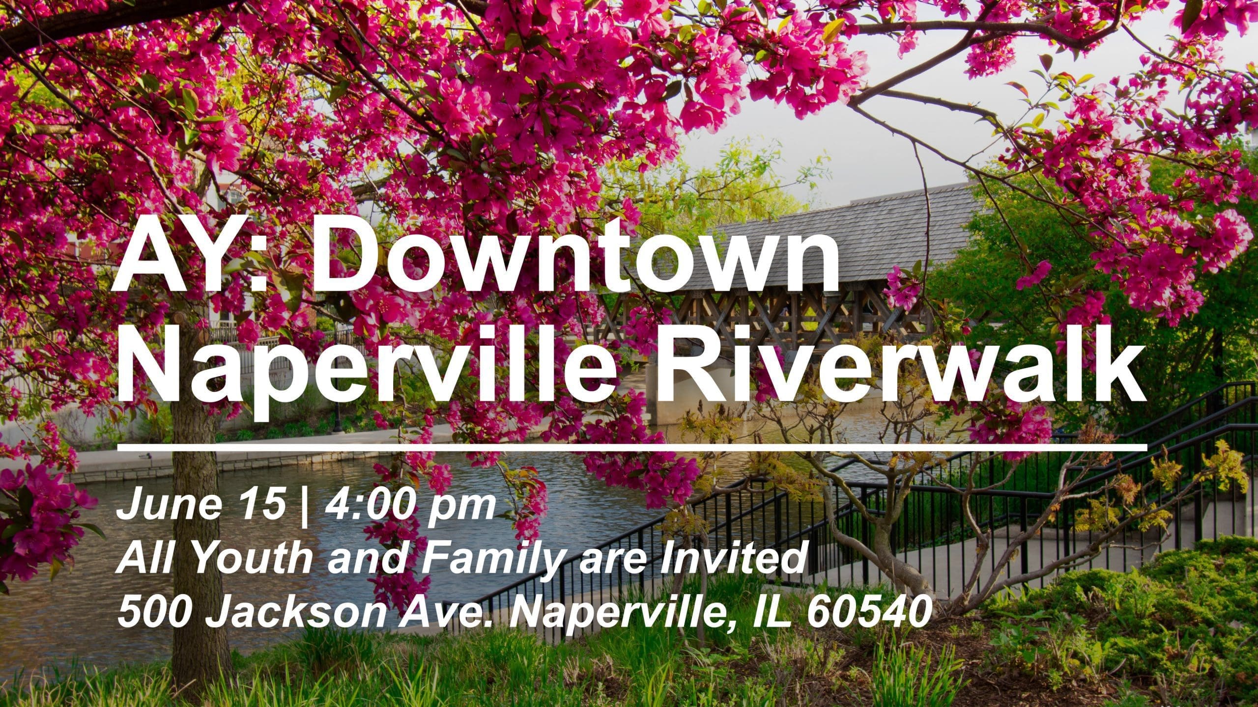 Featured image for “AY: Downtown Naperville Riverwalk”