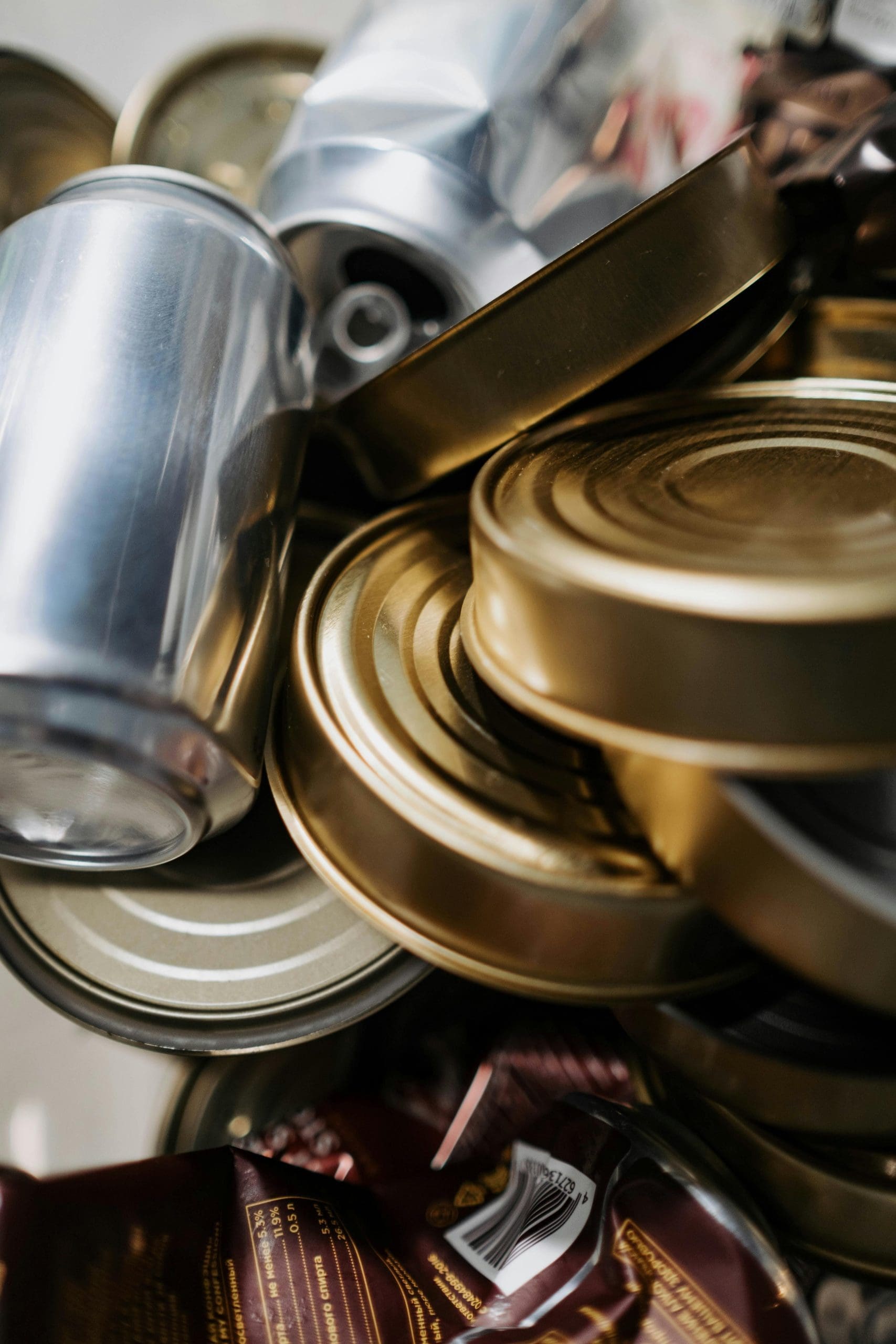 Featured image for “Pathfinder and Youth Can Collecting”